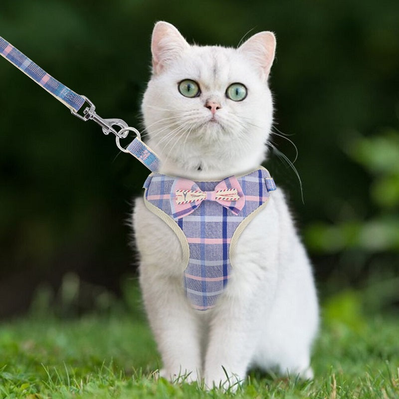 CAT HARNESS