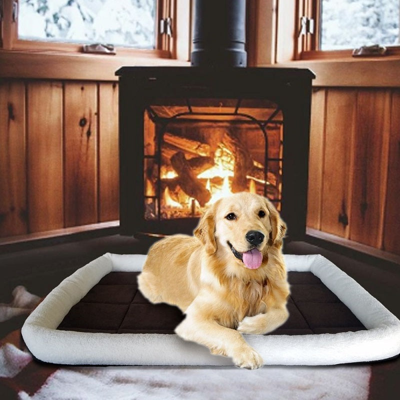 DOG BEDDING