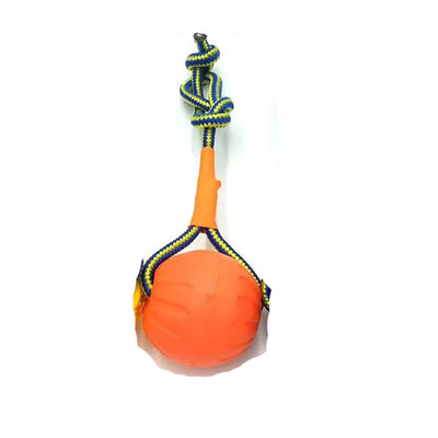 Indestructible  rubber bite Dog