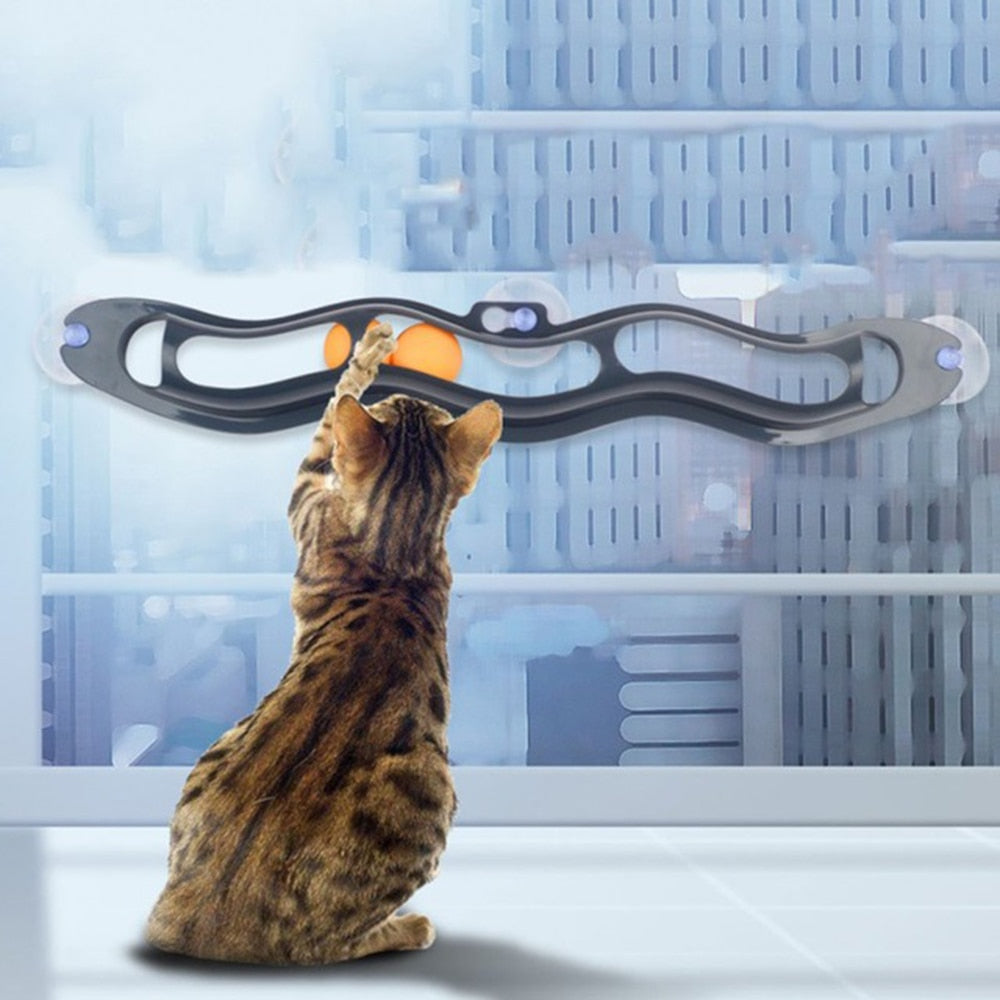 Ball Toy Sucker Windows Cat