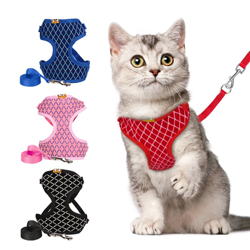 Rhinestone Mesh Cat  Leash Set