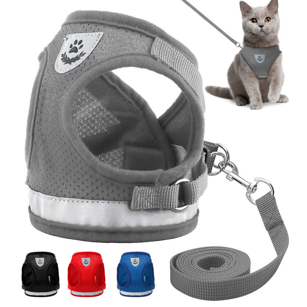 Cat Walking Jacket Leash Pets