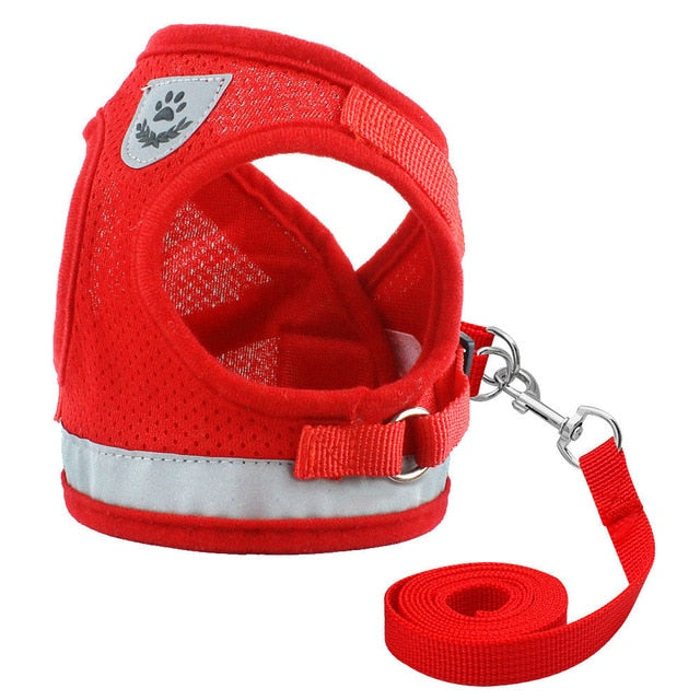 Cat Walking Jacket Leash Pets