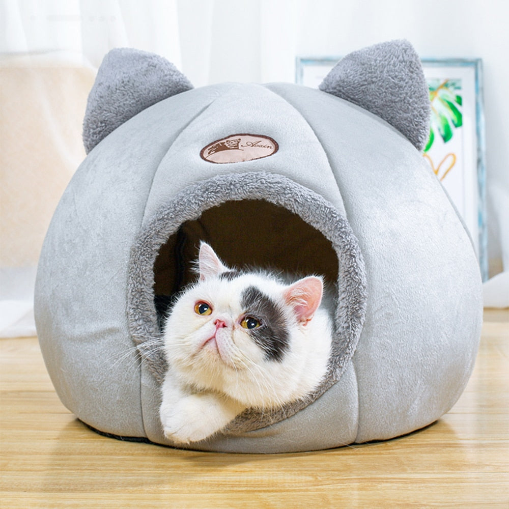 CAT BEDDING