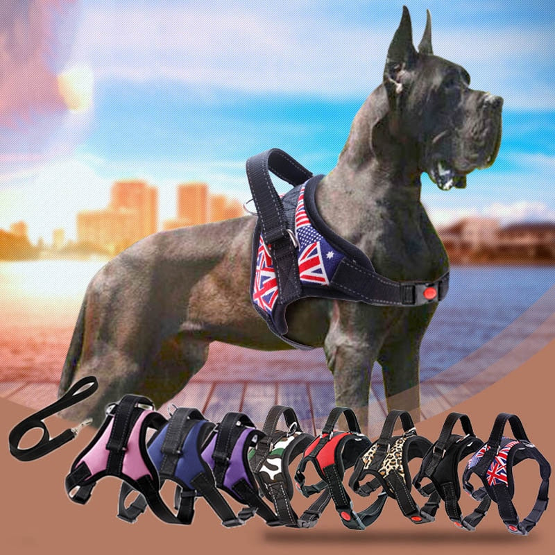 Harness Vest  Pet Dogs