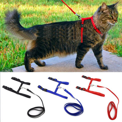 Pet Traction Cat Kitten Belt