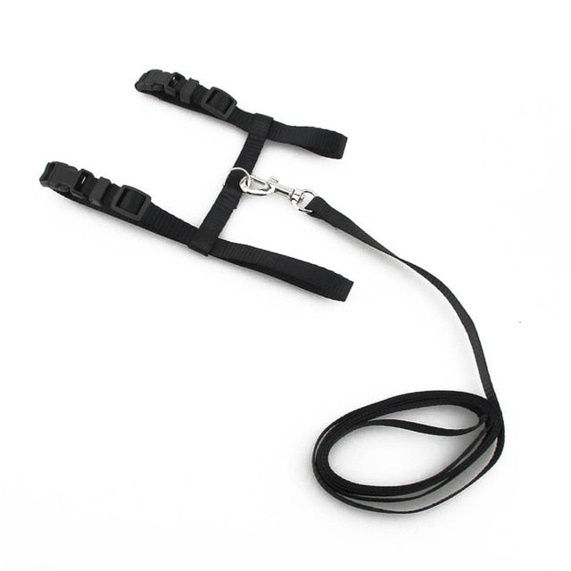 Pet Traction Cat Kitten Belt