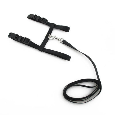 Pet Traction Cat Kitten Belt