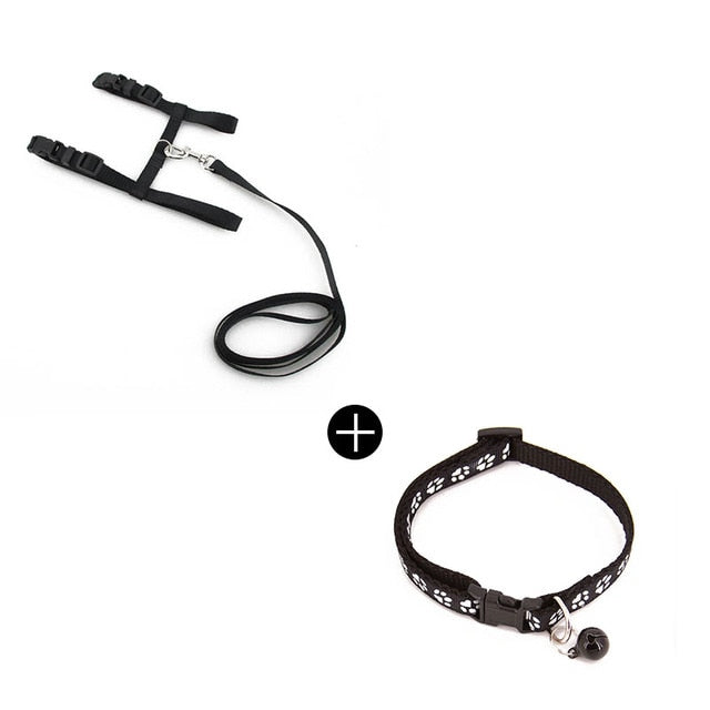 Pet Traction Cat Kitten Belt