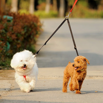COUPLER Double Twin Walking Leash