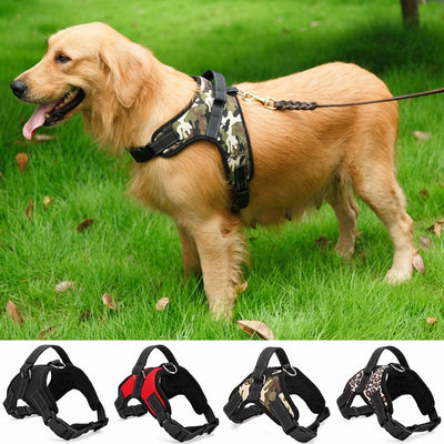 Nylon Heavy Duty Dog Pet