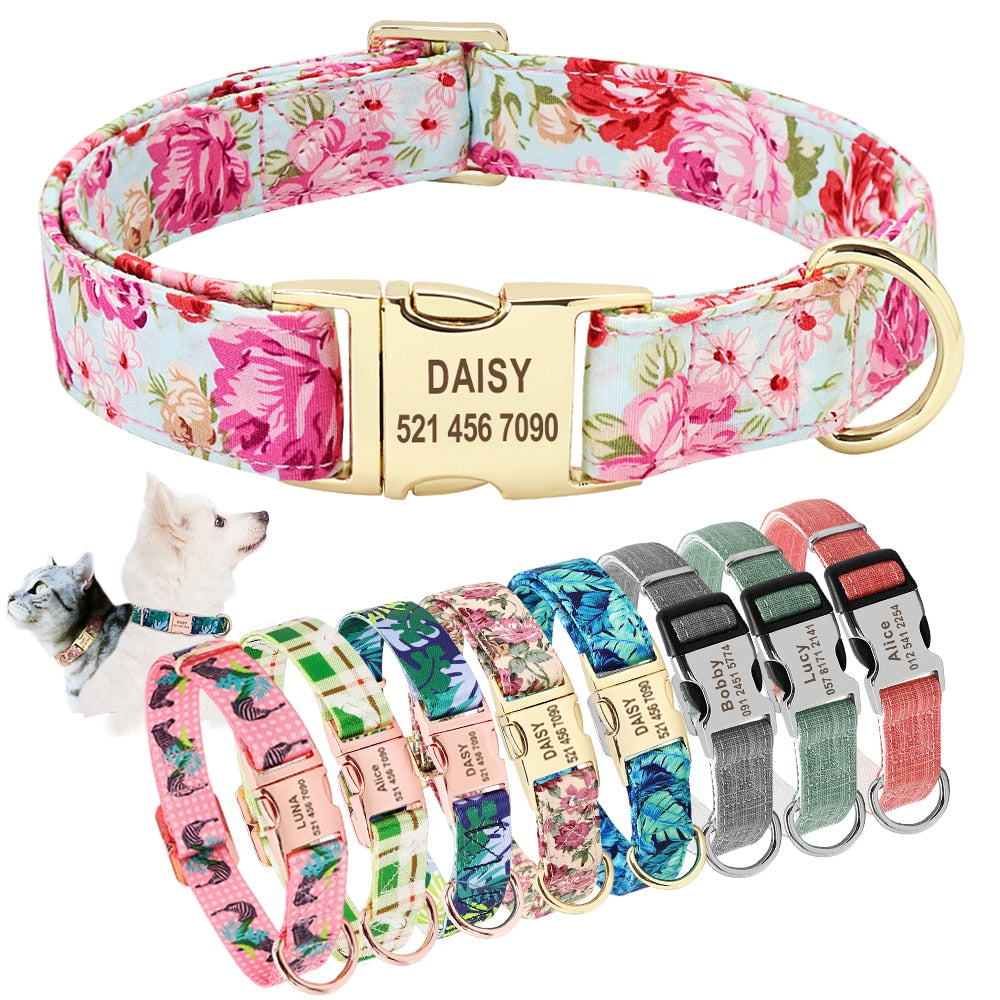 Nameplate Collars For Dogs