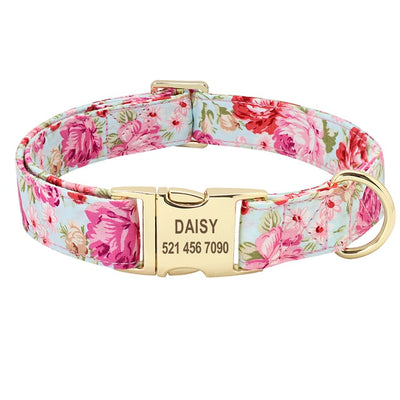 Nameplate Collars For Dogs