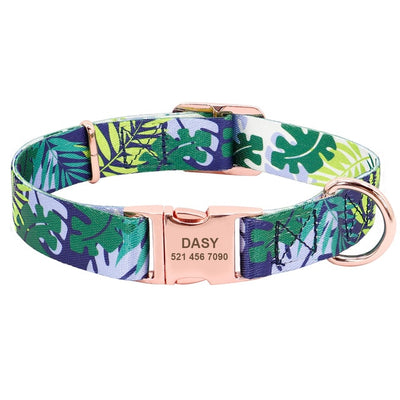 Nameplate Collars For Dogs