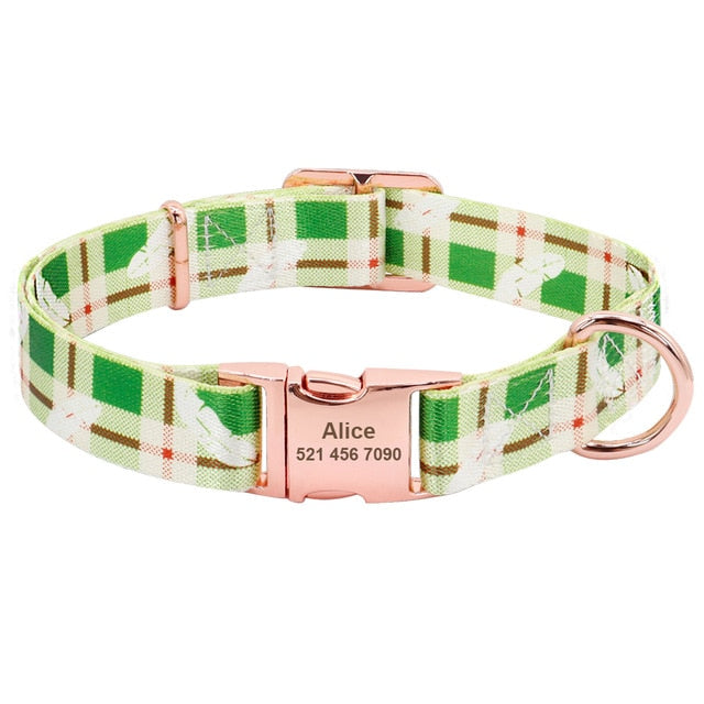 Nameplate Collars For Dogs