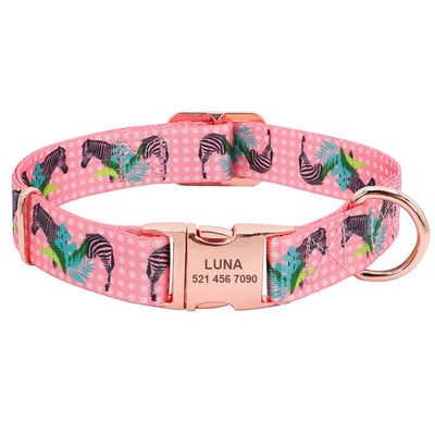 Nameplate Collars For Dogs