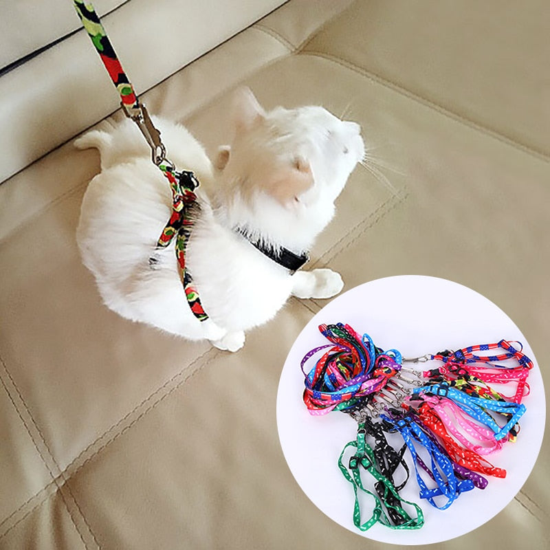 Traction Rope Cat Pet Leash