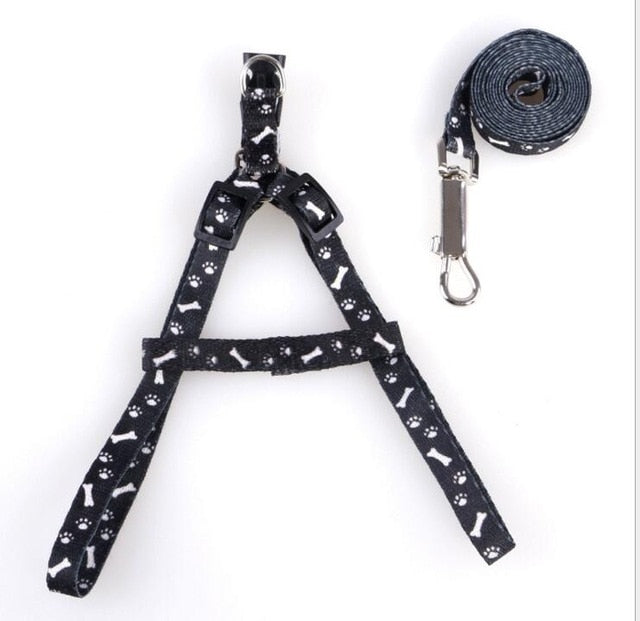 Traction Rope Cat Pet Leash