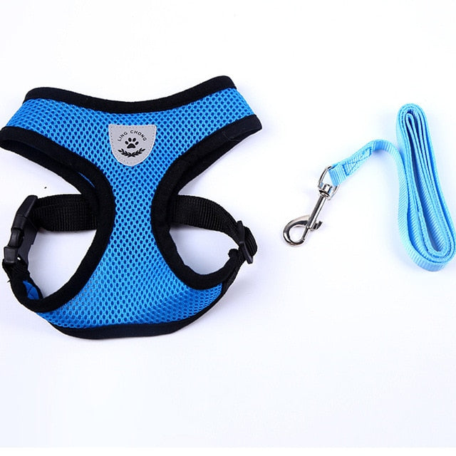 Cat  Adjustable Vest Walking Leash