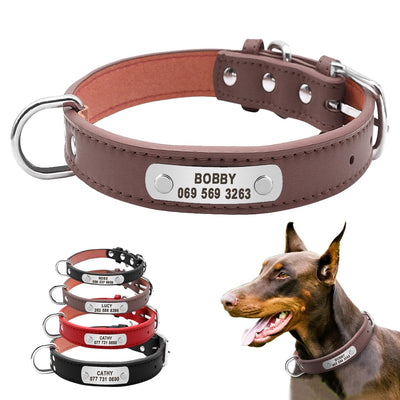 Leather Padded Pet  Collar