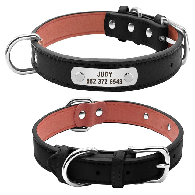 Leather Padded Pet  Collar