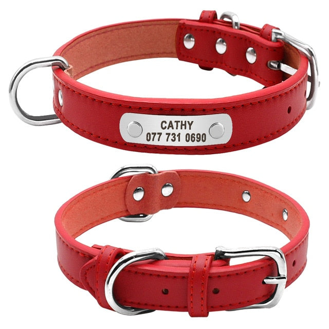 Leather Padded Pet  Collar
