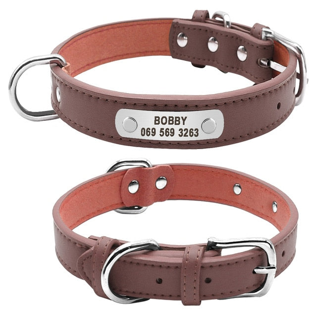 Leather Padded Pet  Collar