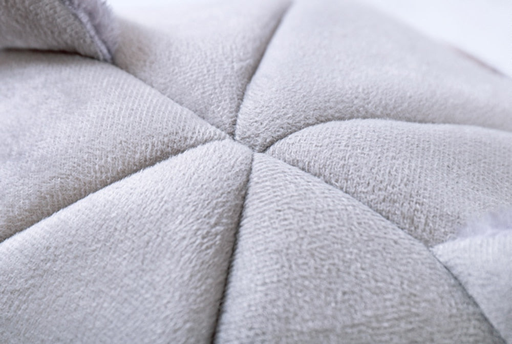 Foldable and Removable  Cat Bed